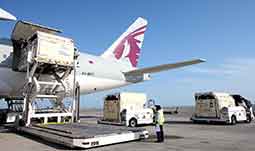 Qatar-Airways-Cargo-horses-caption-with-story