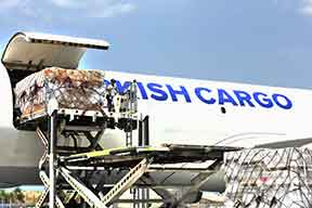 Turkish-Cargo-new-pic-a