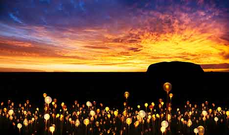Field-of-Light-Uluru